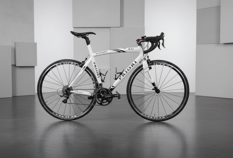 Bicicletta usata asta Priori K12